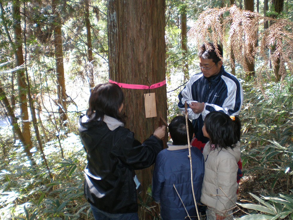 檜に名札を付けます